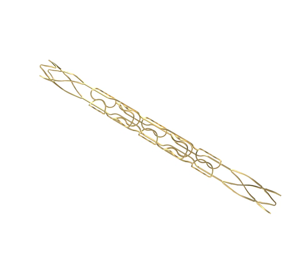 Vascular Balloon Catheter Angioplasty Stent