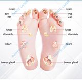 Terahertz Foot Massage Device Pemf for Chronic Pain Relief Olylife Thz P90