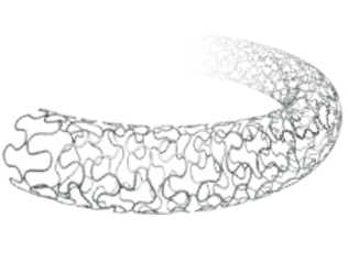 Polymer-Free Sirolimus-Eluting Coronary Stent System