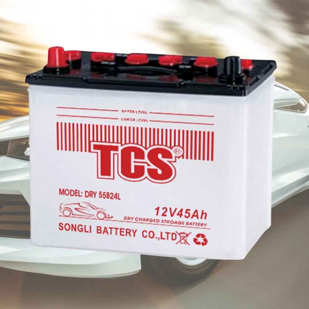 TCS Dry charged car battery DRY 55B24R