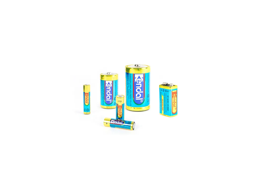 Primary Dry Cell Batteries