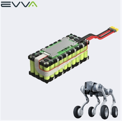 OEM Motorcycle Engine Starting Battery Lithium Werks LiFePO4 Low Temperature Battery 13.2V 52ah 26650 Battery Pack