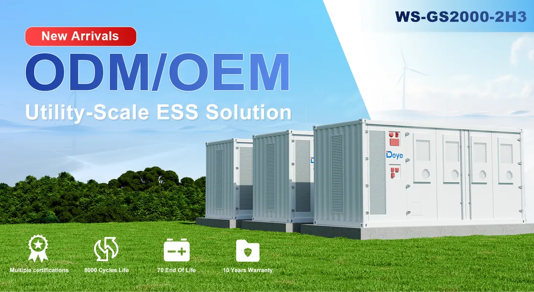 Energy Storage Detail 1