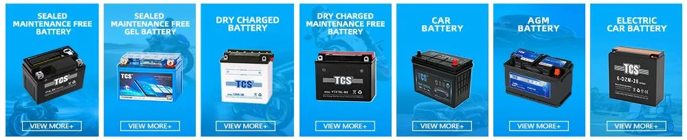 Dry charged car battery