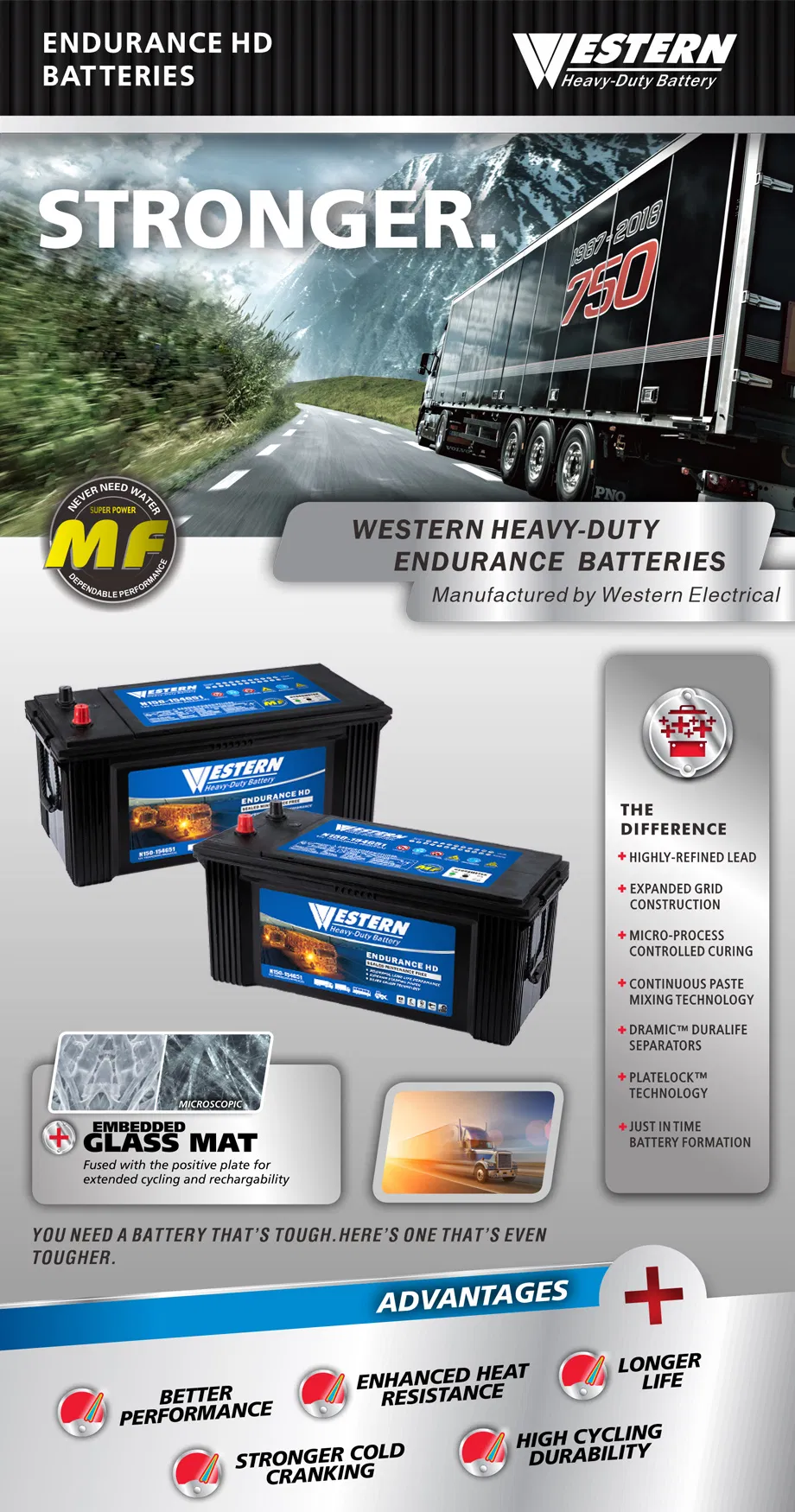 Heavy Duty Battery Detail 1