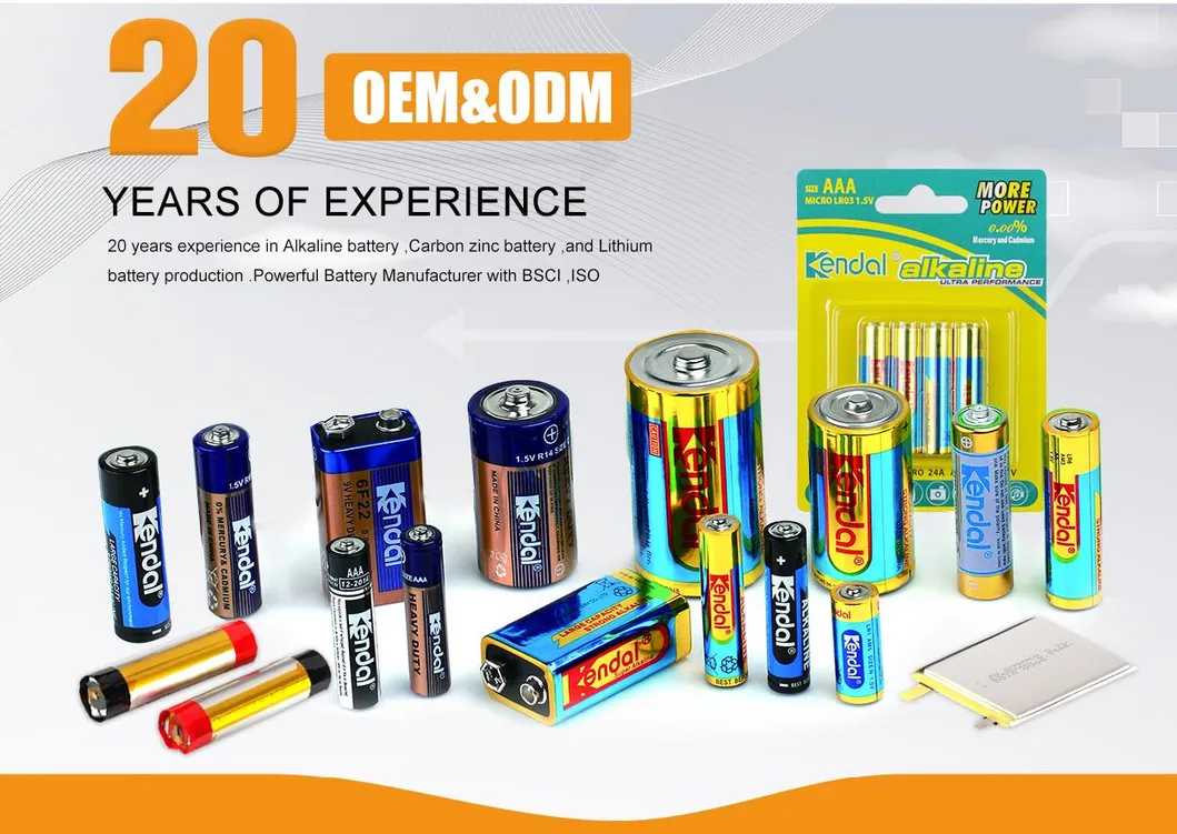 AA Alkaline Primary 1.5V Dry Cell Battery