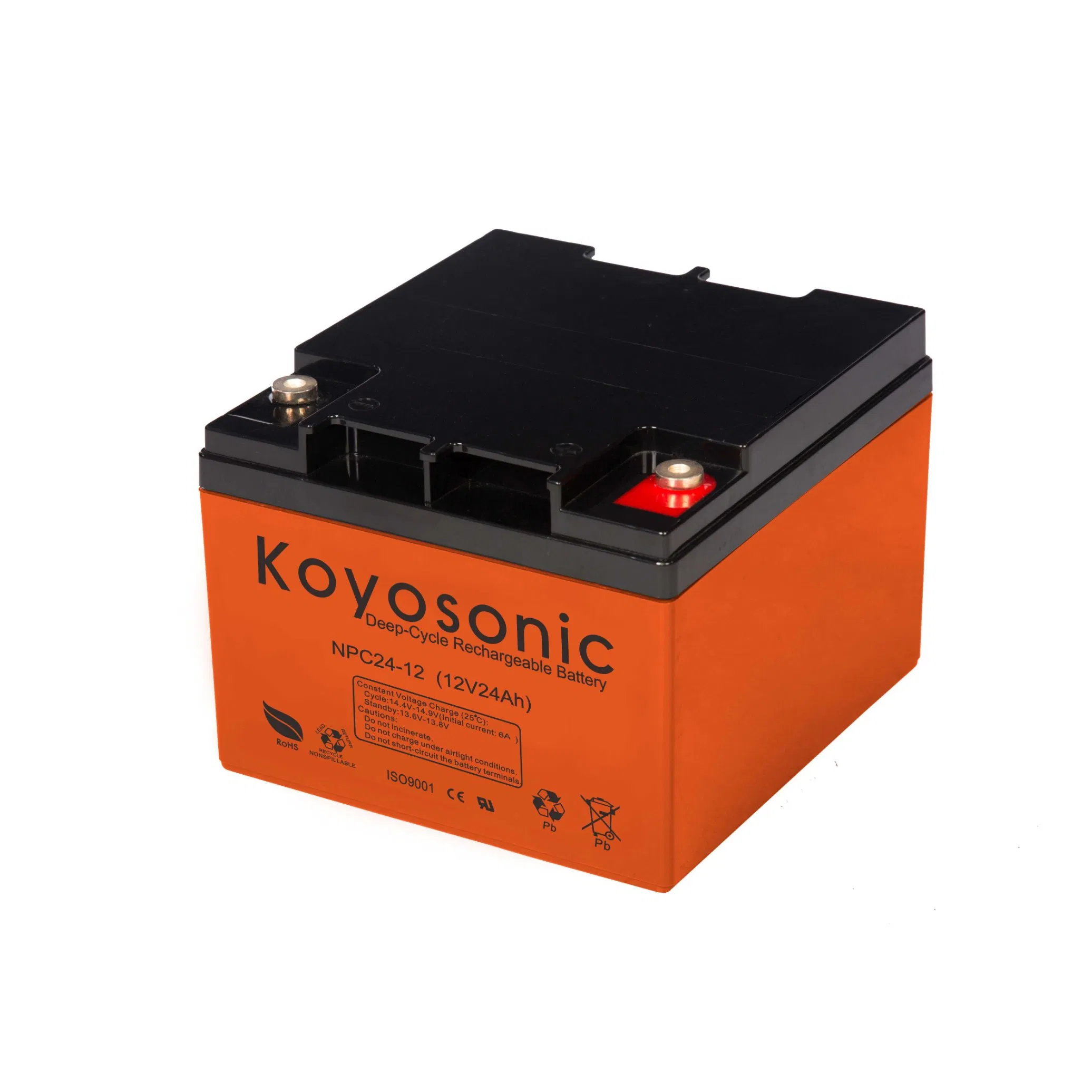 Valve-Regulated Lead Acid-Rechargeable Deep Cycle Battery 12V 24ah