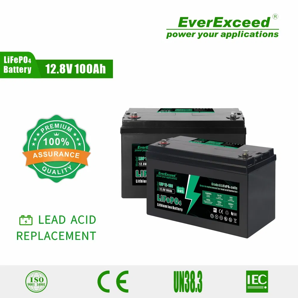 Lithium Iron Phosphate Battery 12.8V 100ah LiFePO4 Battery Pack with Built-in BMS for Rvs