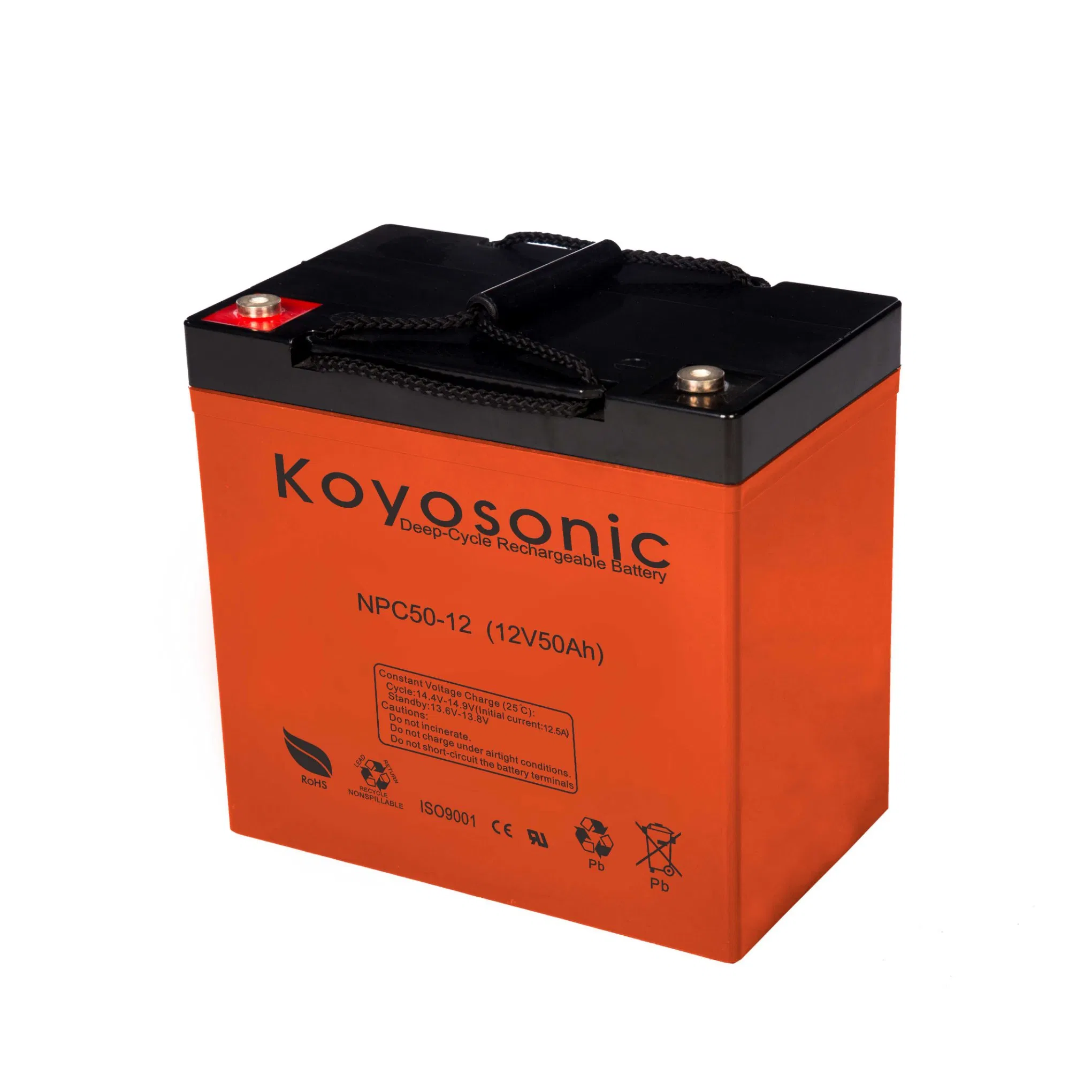 Valve-Regulated Lead Acid-Rechargeable Deep Cycle Battery 12V 24ah