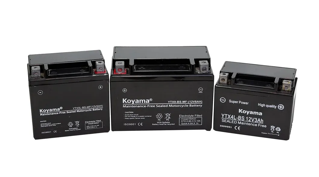AGM Sealed Battery
