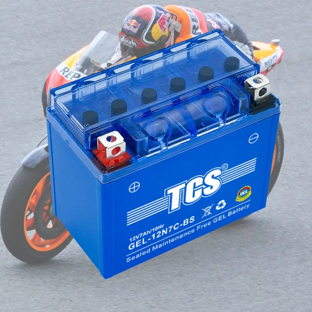 TCS Environmentally friendly 12N12C motorcycle batteries for sale For ATV