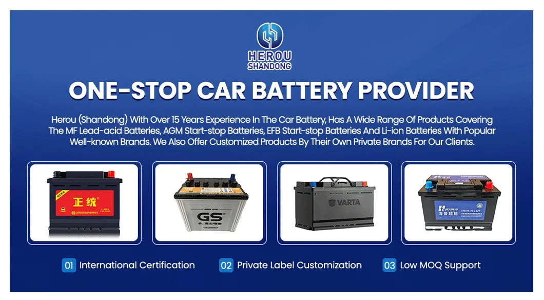 AGM Start-Stop Car Battery
