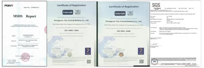 LR6 AA Alkaline Battery Certification