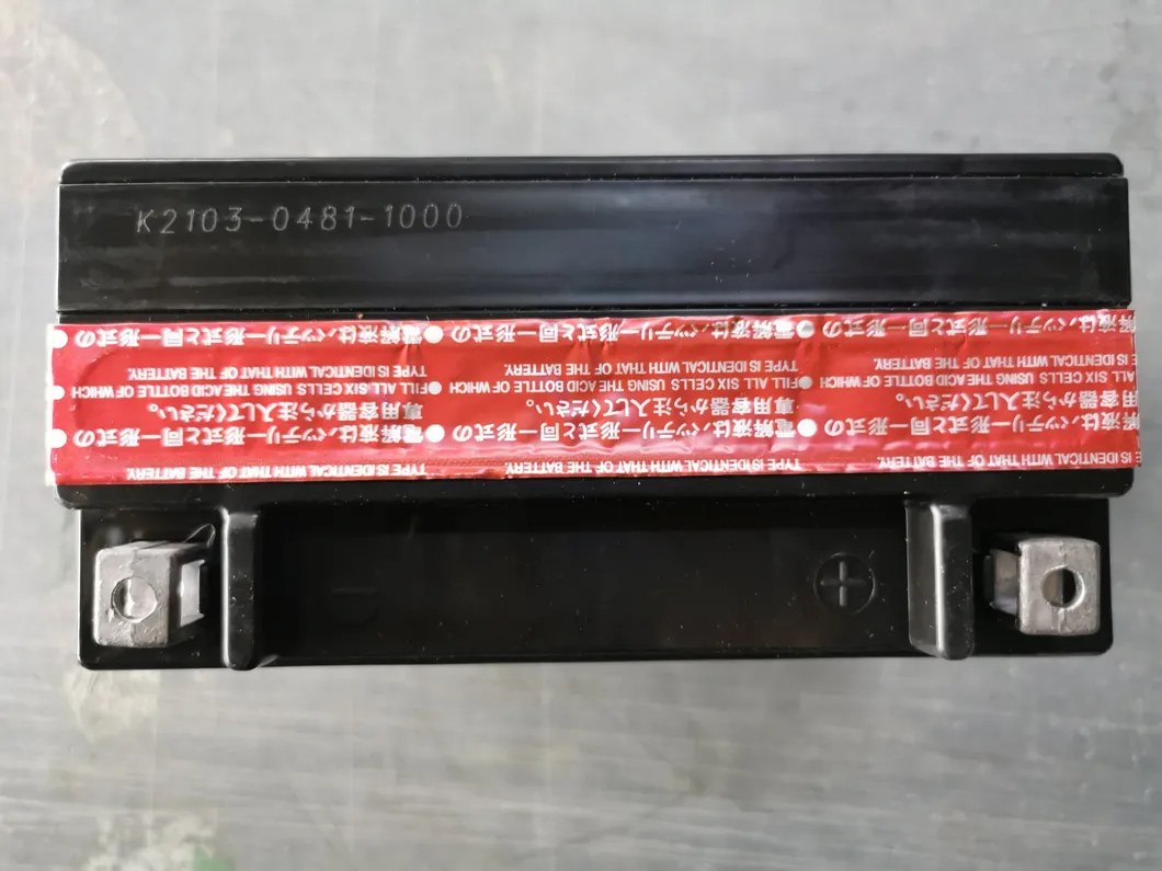 Motorcycle Battery View 4