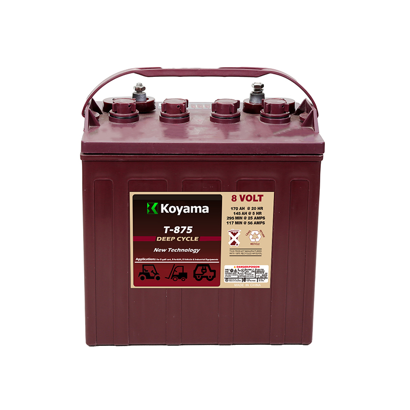 Flooded Deep Cycle Battery 8V 12V Trojan Battery for Golf Trolley