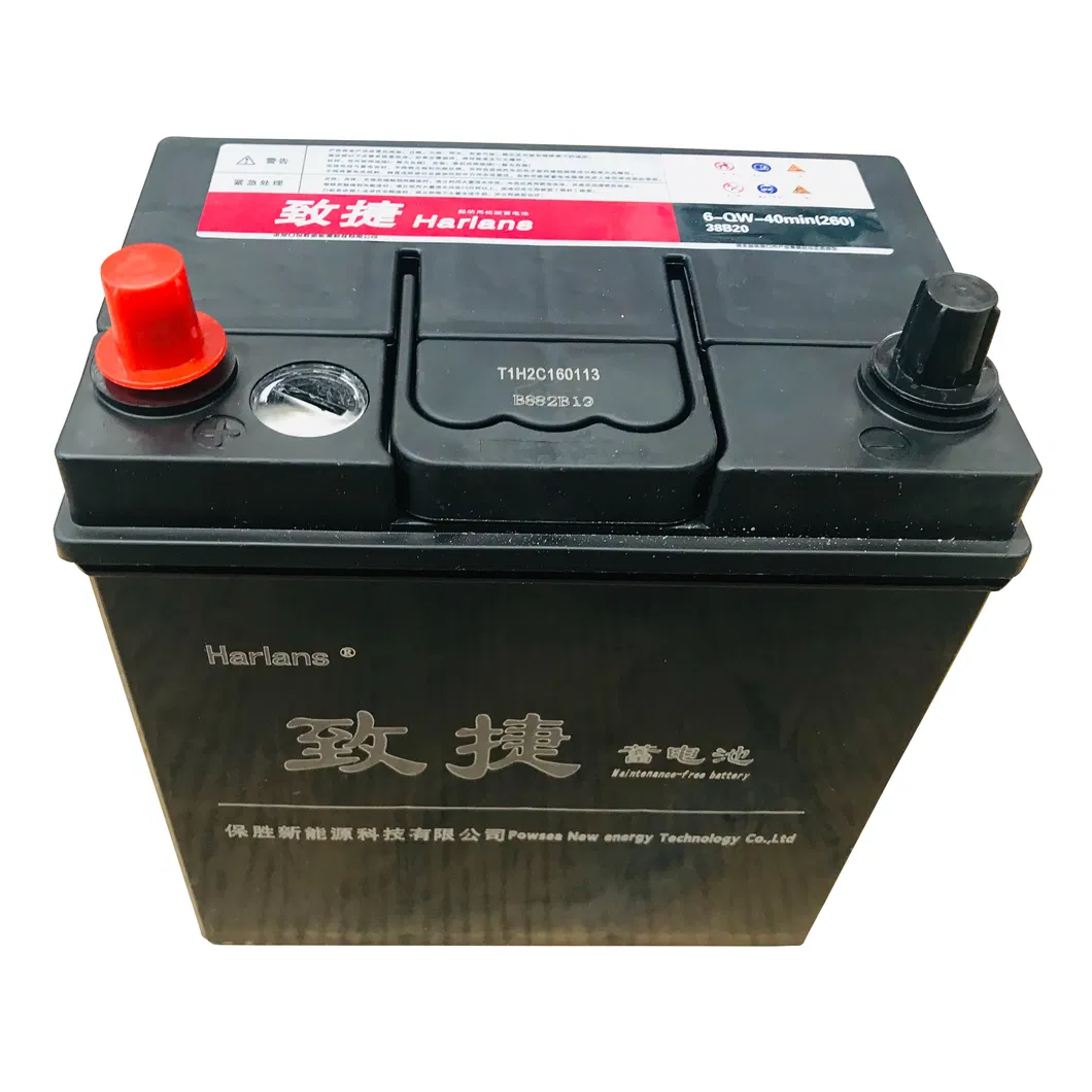 Auto Battery View 1