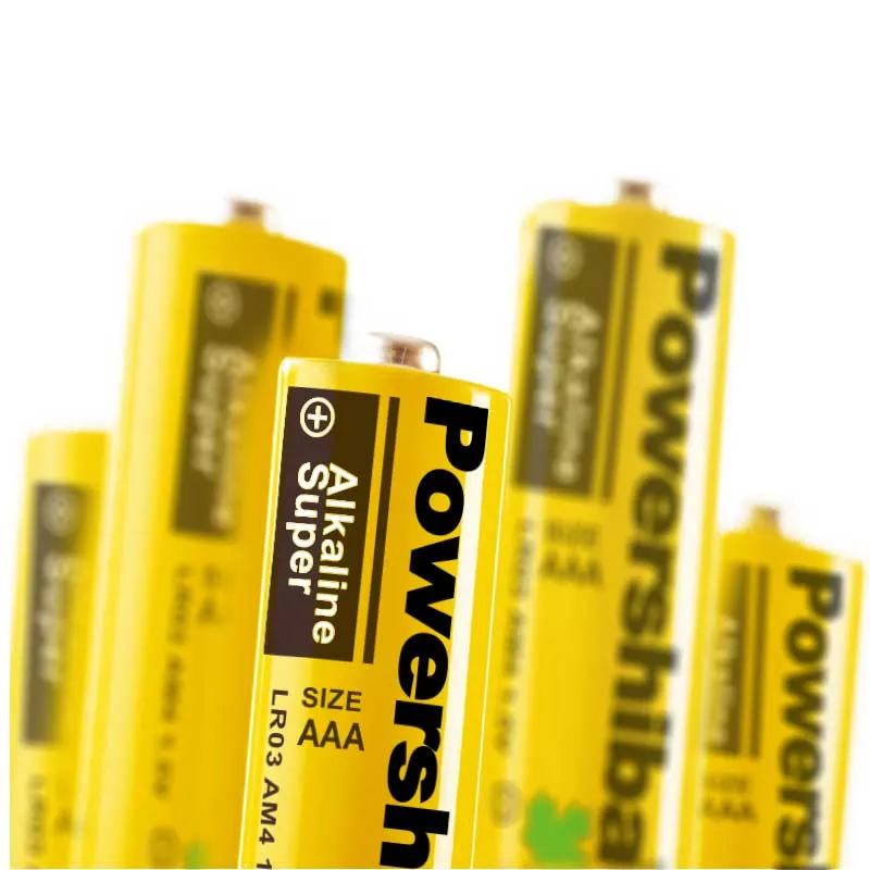 Battery Detail 5