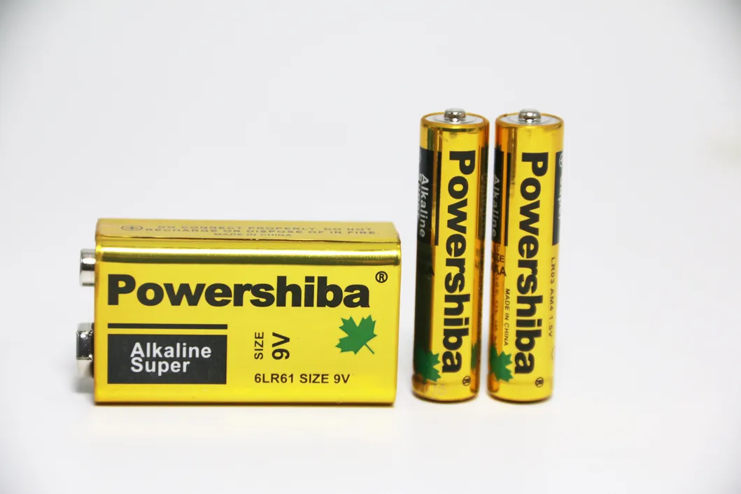 Battery Detail 1