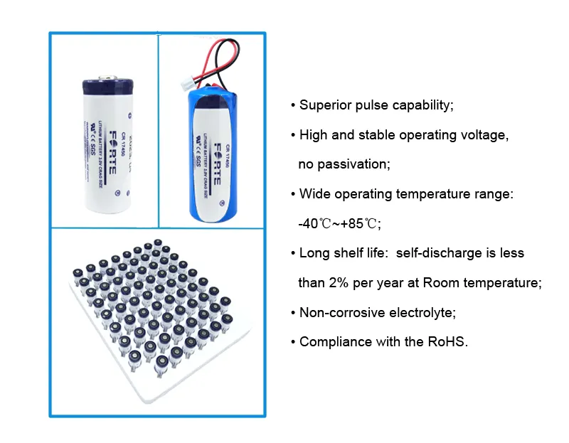 CR17450 Battery View 2