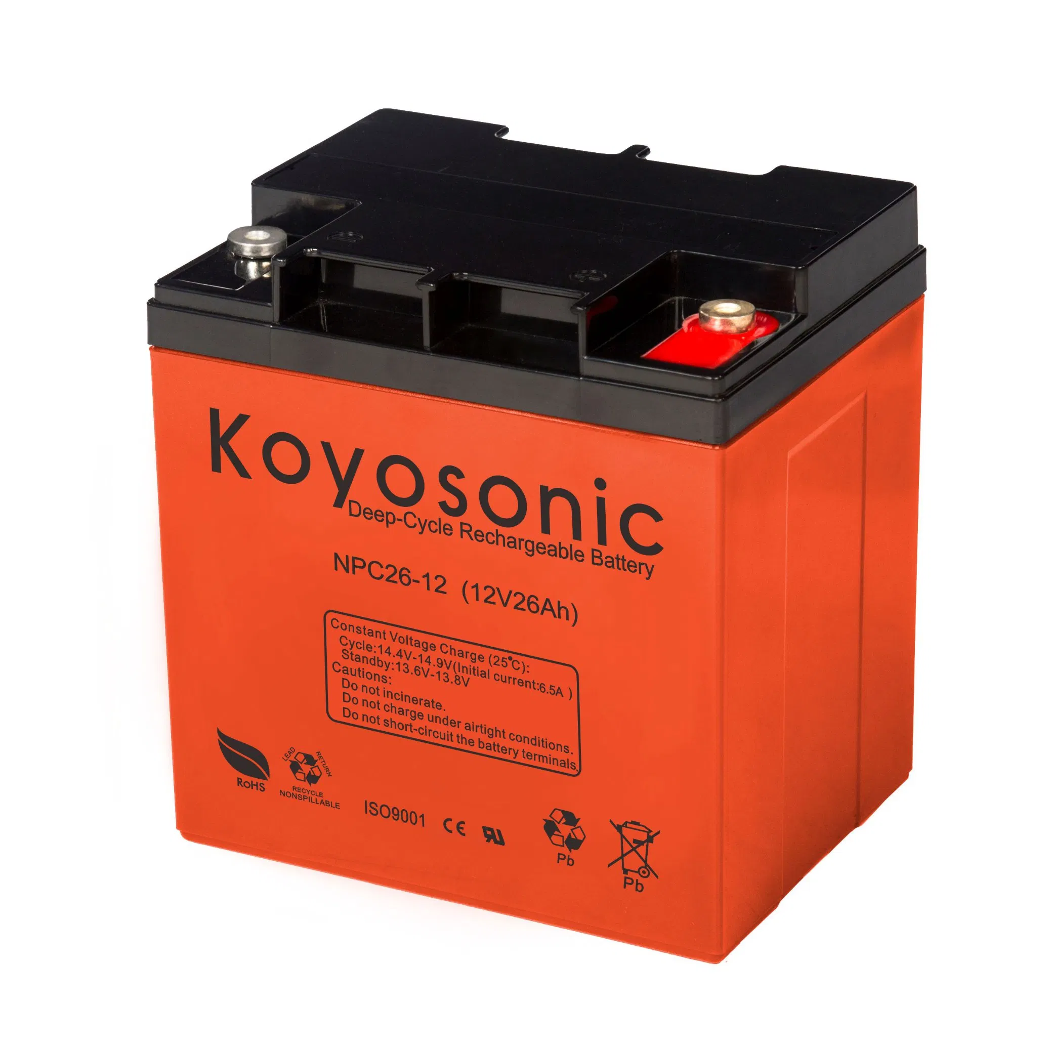 Valve-Regulated Lead Acid-Rechargeable Deep Cycle Battery 12V 24ah