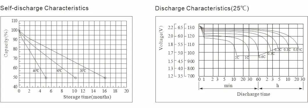 Lead Acid Battery 2