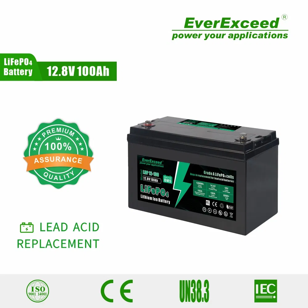 Lithium Iron Phosphate Battery 12.8V 100ah LiFePO4 Battery Pack with Built-in BMS for Rvs