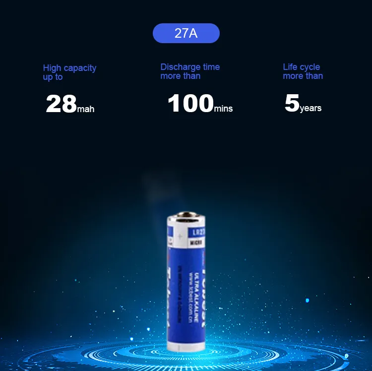 27A Battery Detail