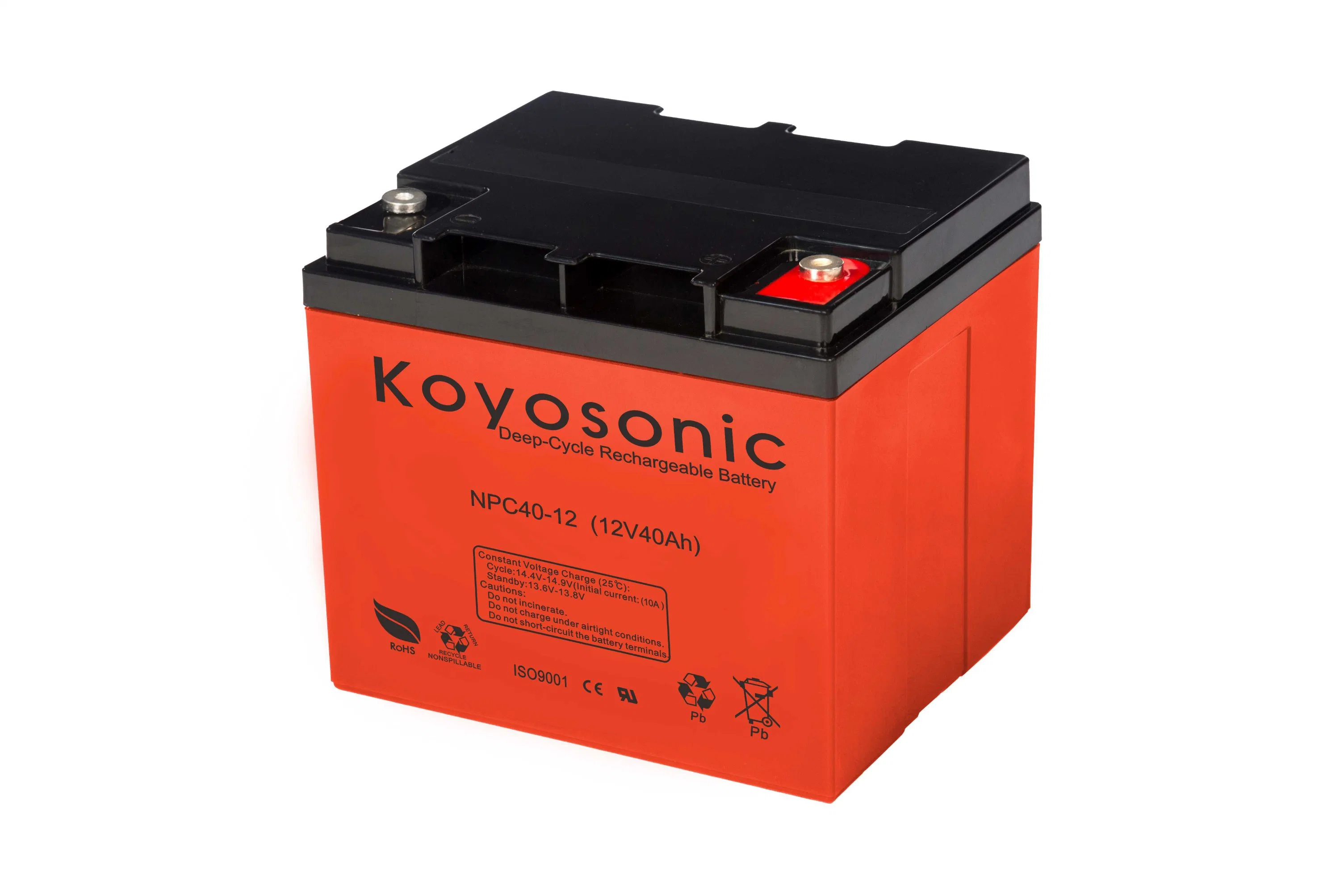 Valve-Regulated Lead Acid-Rechargeable Deep Cycle Battery 12V 24ah