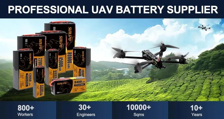 Solid State Battery
