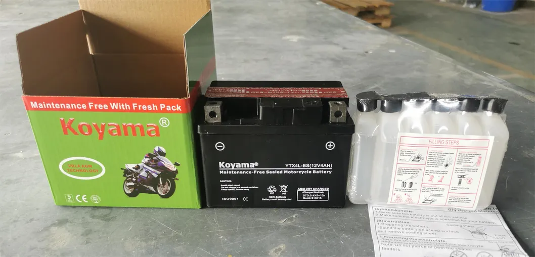 AGM Battery