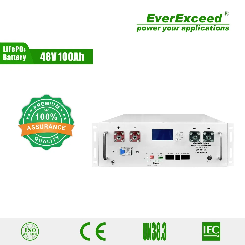 Everexceed 6000+ Cycle Times 48V 100ah Rechargeable LiFePO4 Lithium Ion Solar Battery