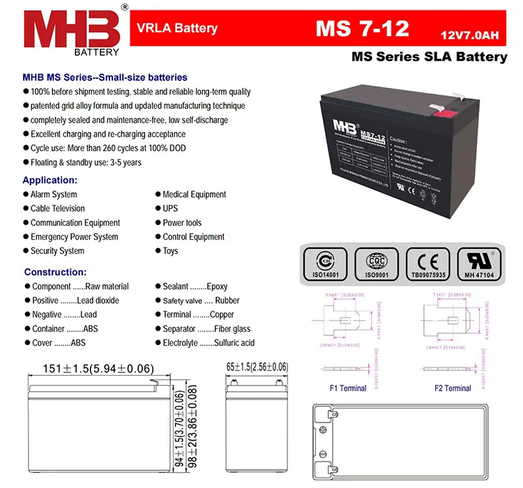 Battery Detail 1