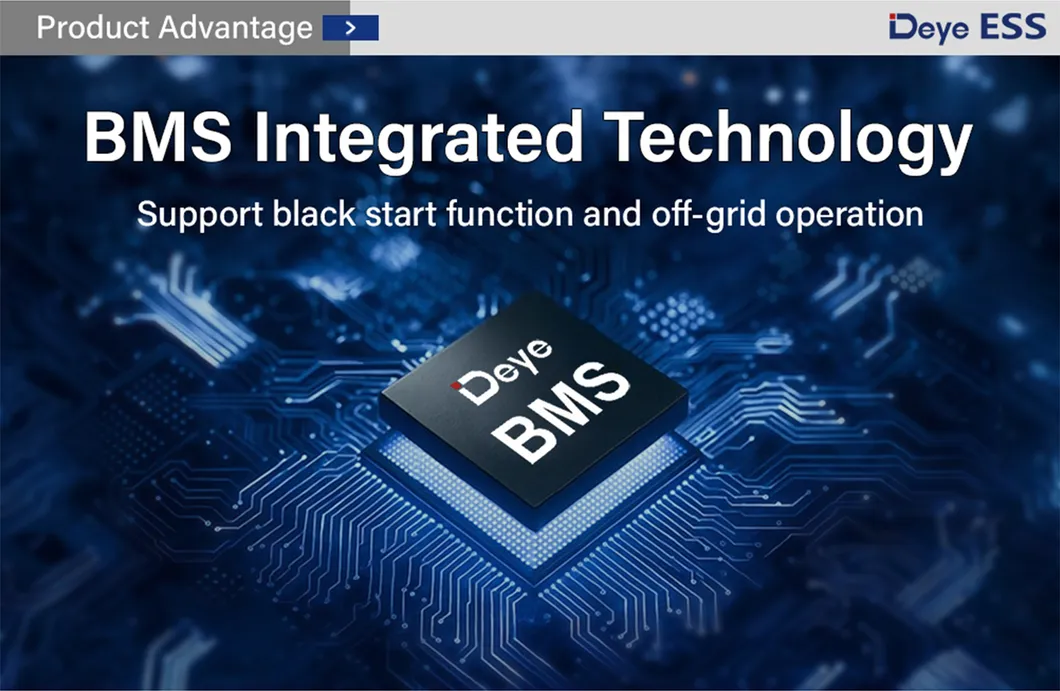 Energy Storage System