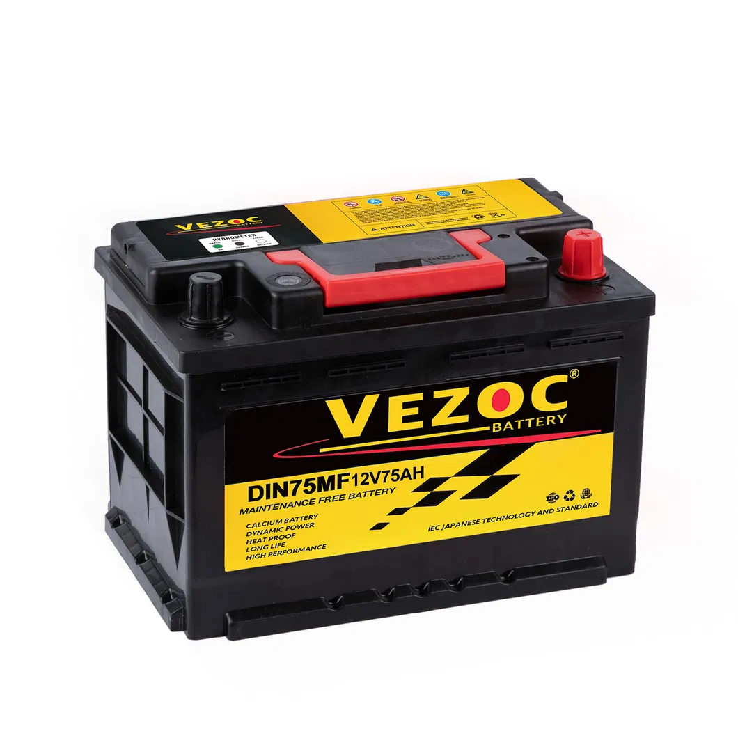 Maintenance Free Battery