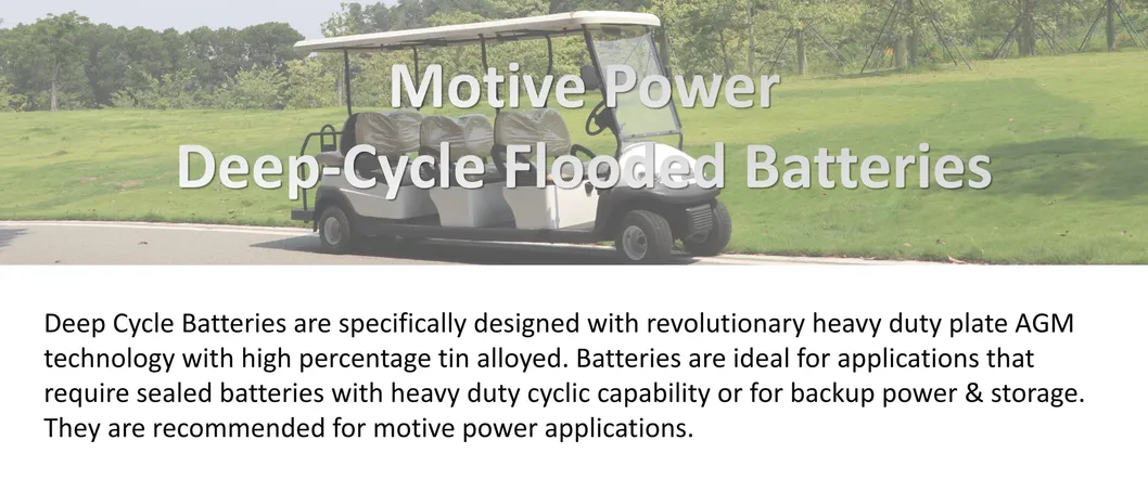 Battery Detail 3