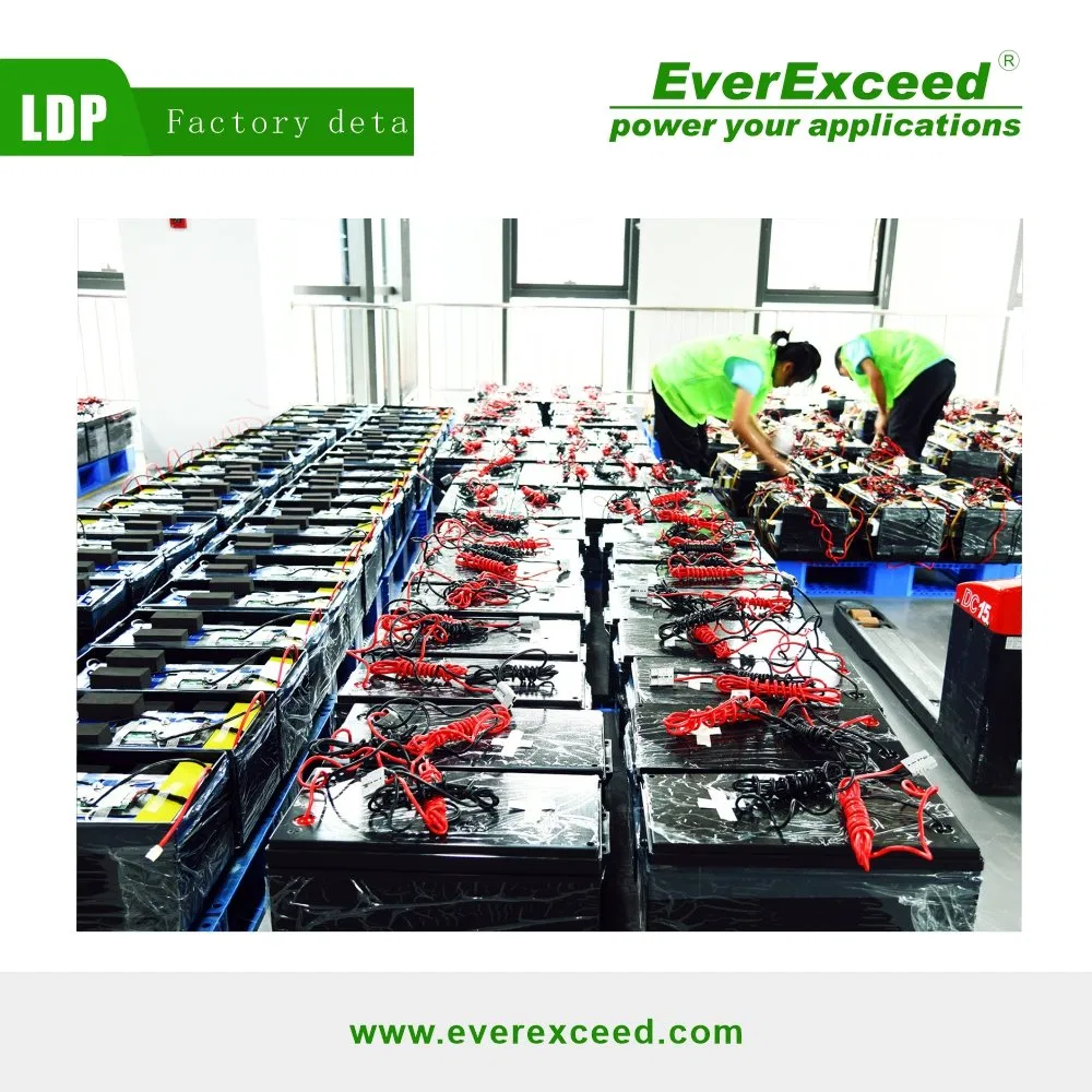 Lithium Iron Phosphate Battery 12.8V 100ah LiFePO4 Battery Pack with Built-in BMS for Rvs