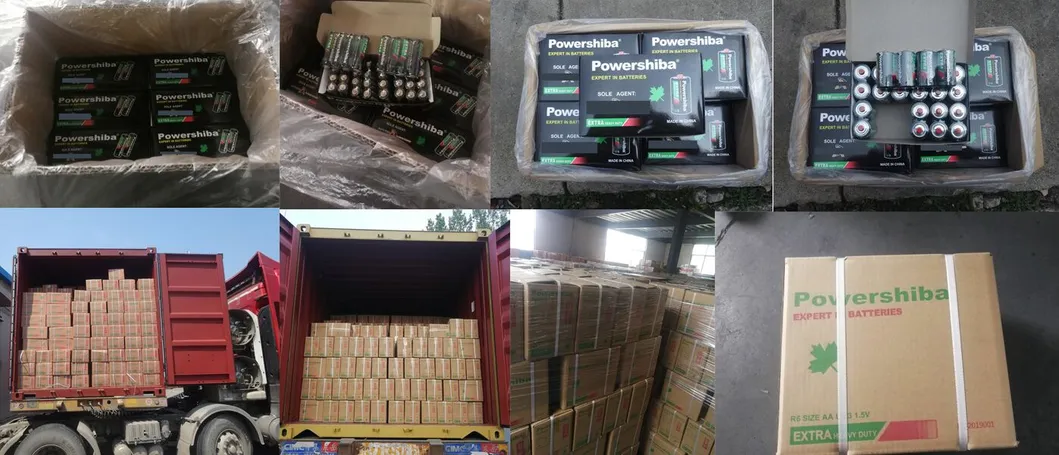 Logistics and Packing