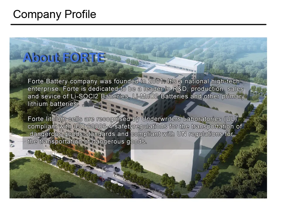 Lithium Battery Manufacturing