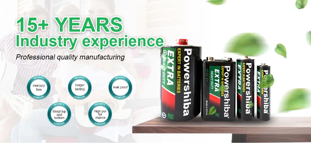 Non Rechargeable 1.5V R03 AAA Carbon Zinc Dry Battery