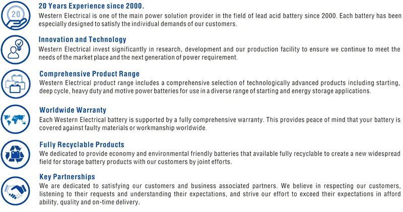 Why Choose Us