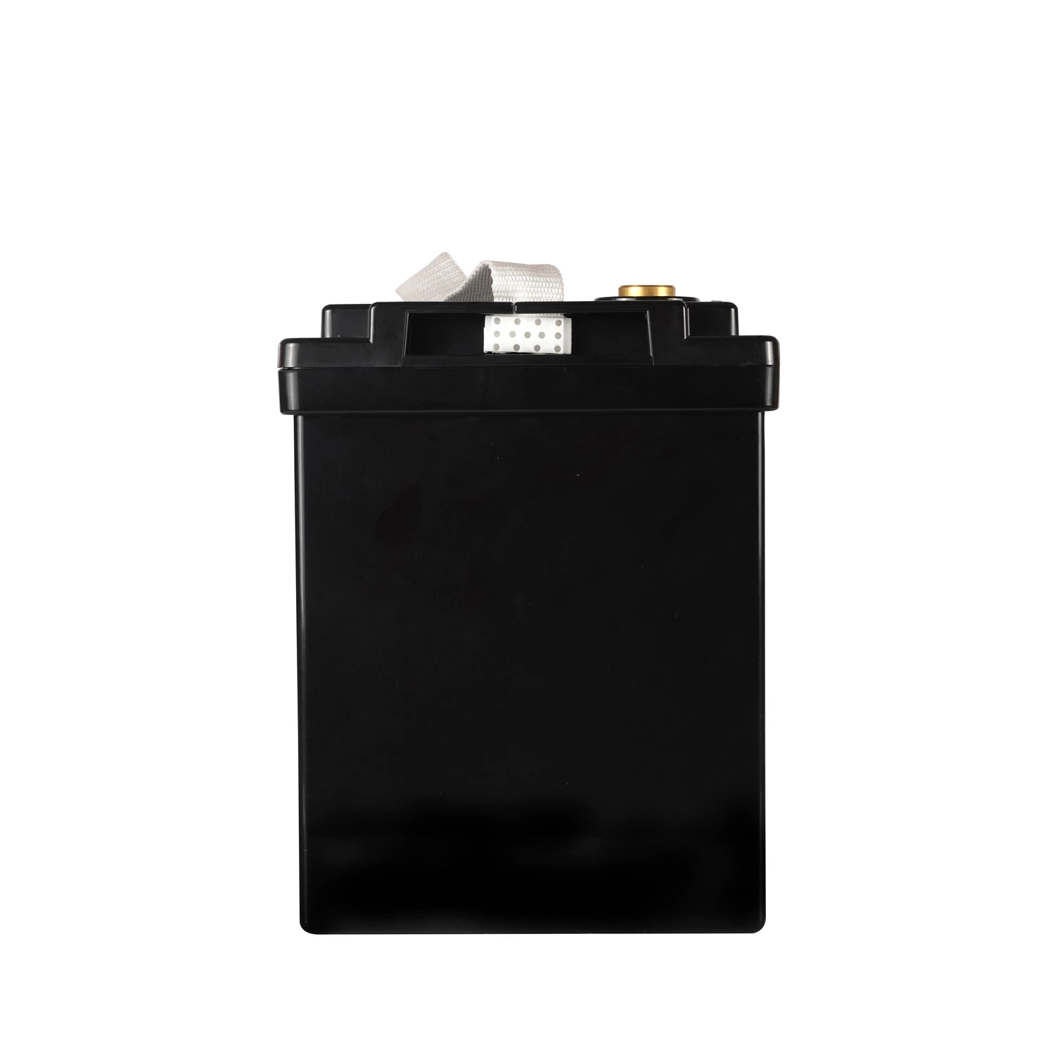 Lithium Battery Wholesale Smartec OEM Long-Life Lithium Iron Phosphate Battery Pack 12V100ah High-Temperature Resistant Electric Car RV Motorhome with BMS