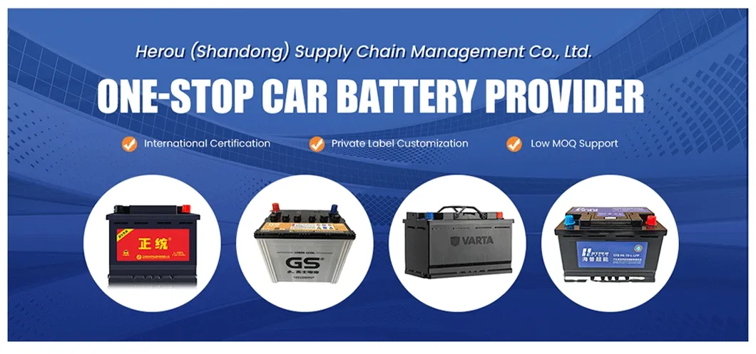 Advanced Technology Lead Acid Maintenance Free MF Car Battery