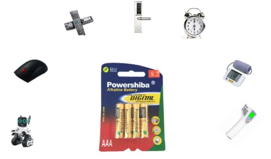 AAA Alkaline Battery