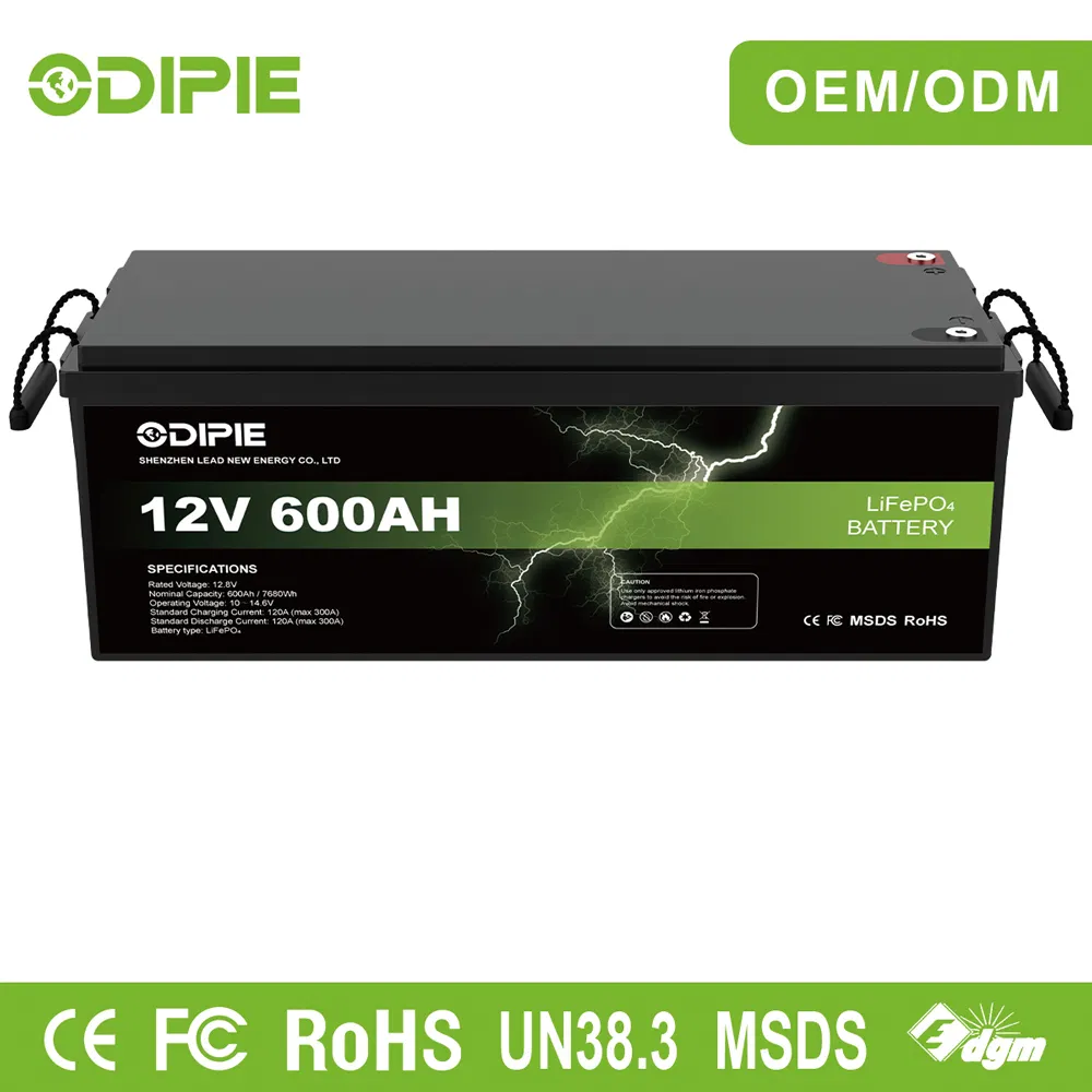 LiFePO4 Battery