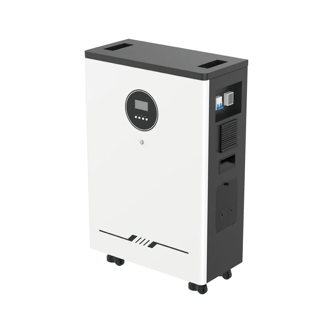 Customization Options