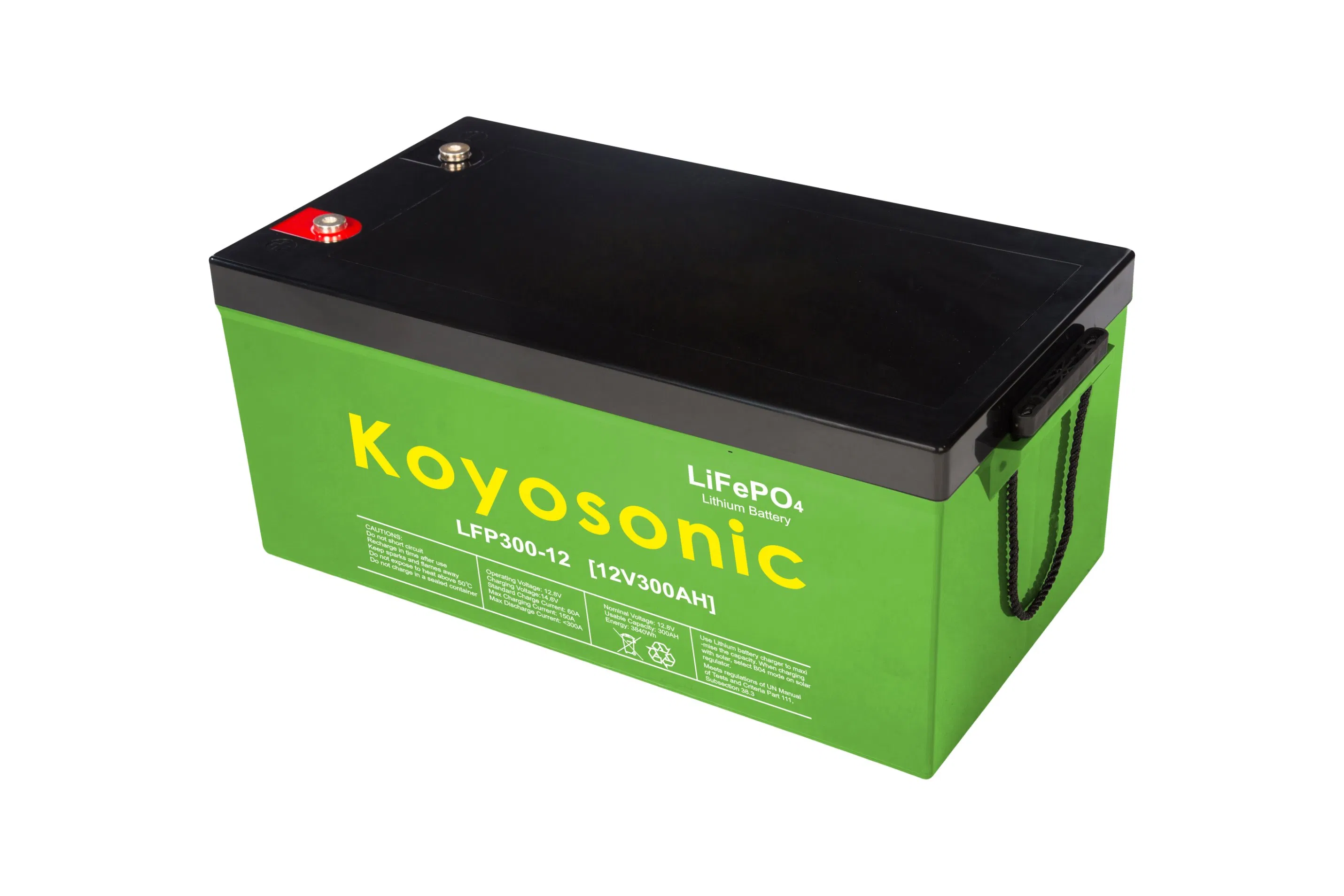 Solar Energy Storage Systems Lithium Batteries Pack LiFePO4 Battery 100ah 120ah 150ah 200ah 12V 24V 48V 100ah 120ah 150ah Lithium Battery for Electric Boat