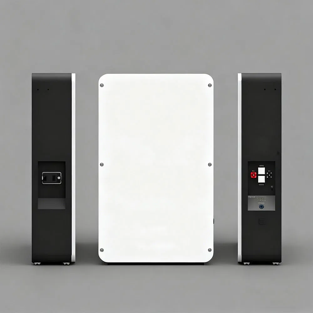 10kwh 20kwh Split IP65 Hybrid Grid Wall-Mounted 51.2V 200ah LiFePO4 Battery Home Energy Storage for Home Appliances Solar Battery