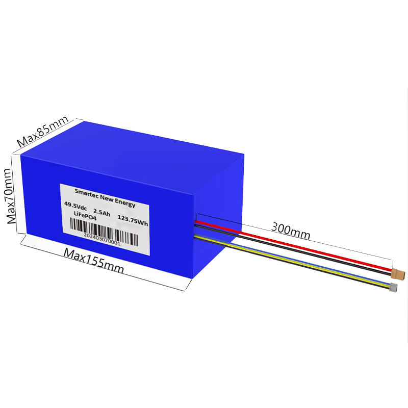 Manufacturer OEM Lithium Iron Phosphate Battery 49.5V 2500mAh 18650 LiFePO4 Battery for Solar Light/Model Aircraft/Toys with Smart BMS