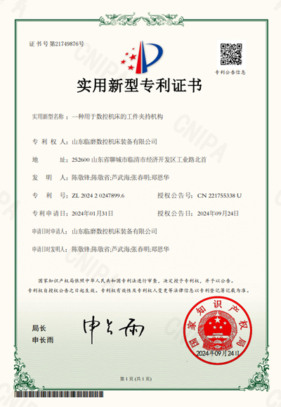 SLMN Patent Certificate 10
