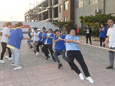 Team Building Activity Tug of War